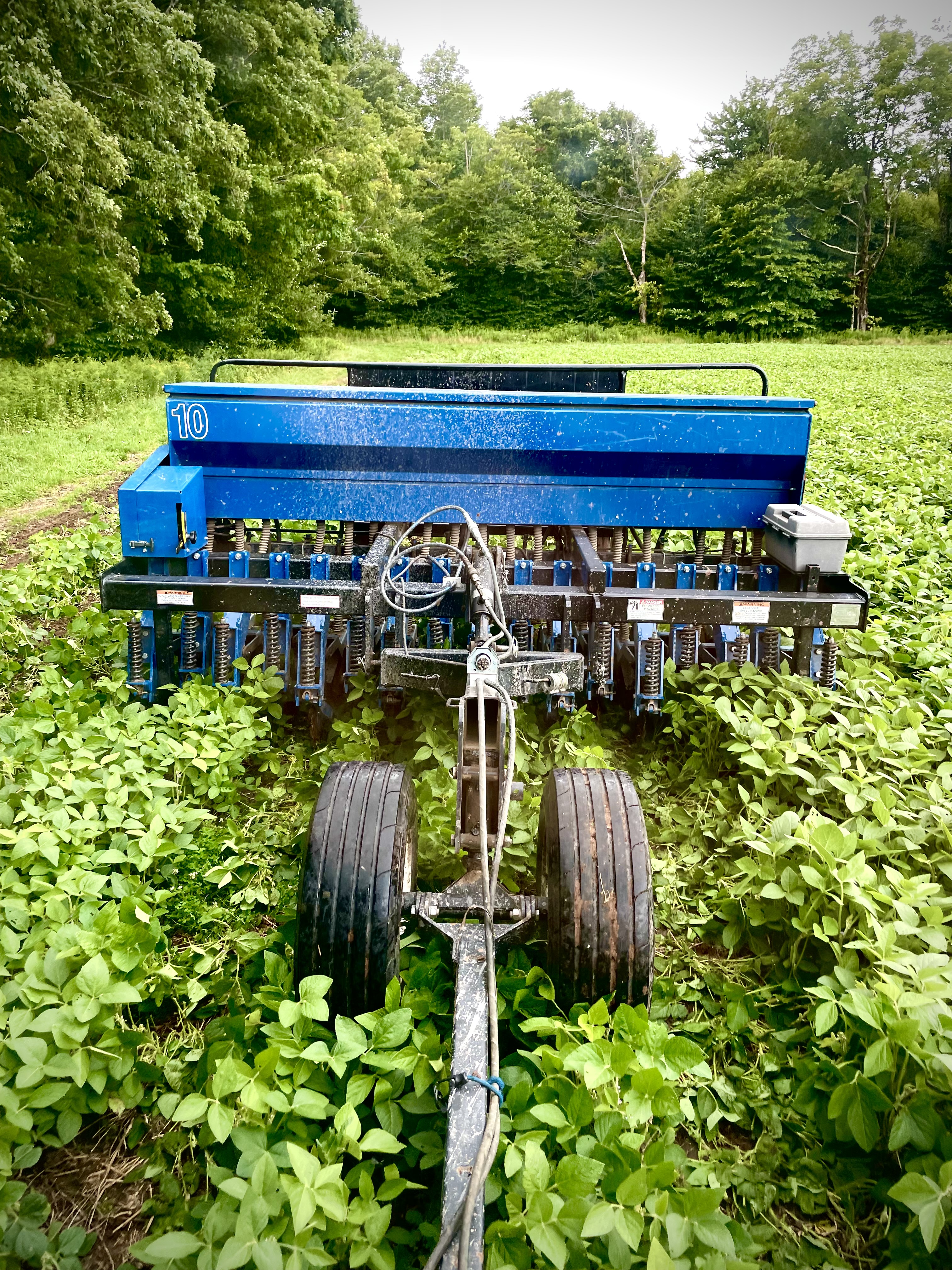 Food Plots
